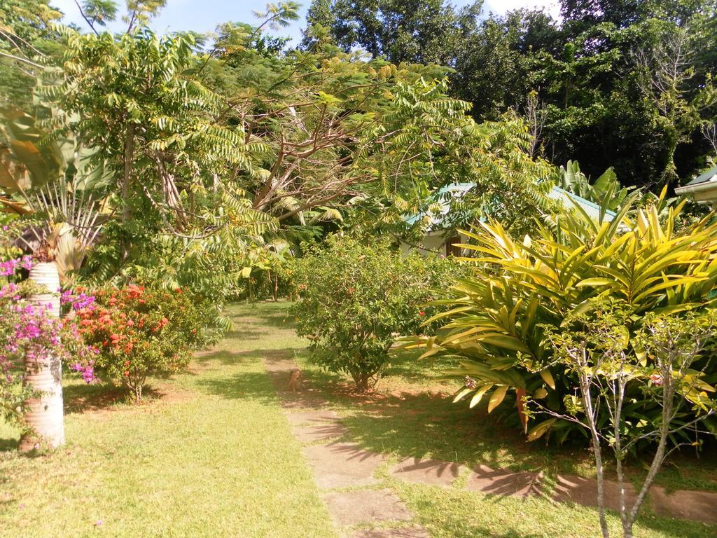 Вілла La Digue Ylang Ylang Номер фото